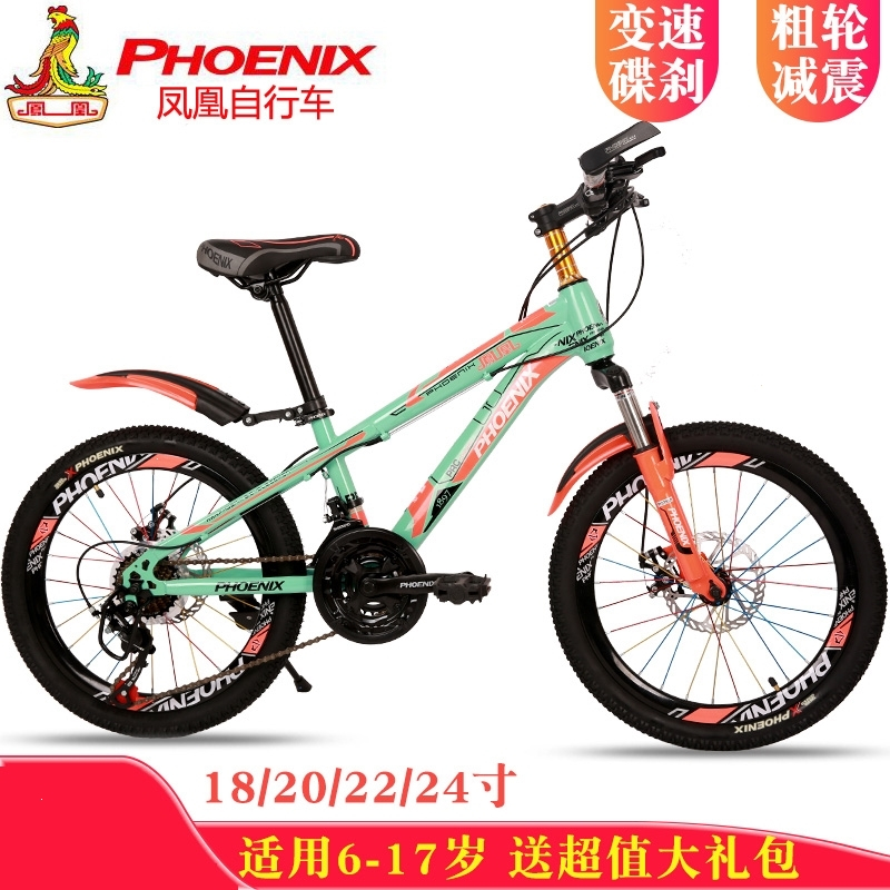 凤凰(PHOENIX) 儿童自行车18_20_22_24寸男孩女孩学生变速山地车双碟刹减震