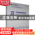 中国-中东欧能源合作报告