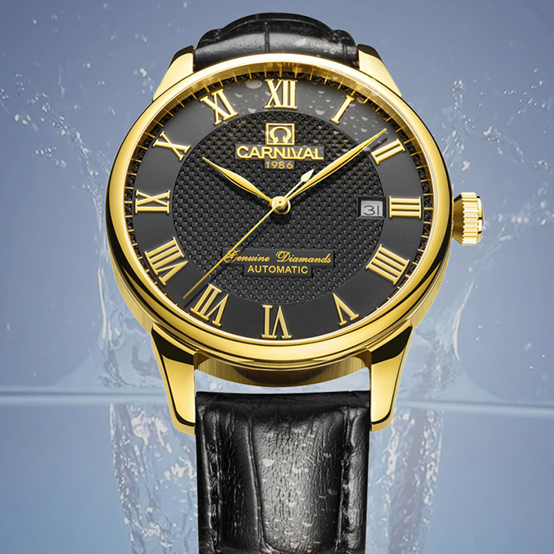新款正品嘉年华Carnival手表男士全自动机械表 男表时尚防水真皮带休闲男表单日历力洛克表盘罗马刻度8605高清大图