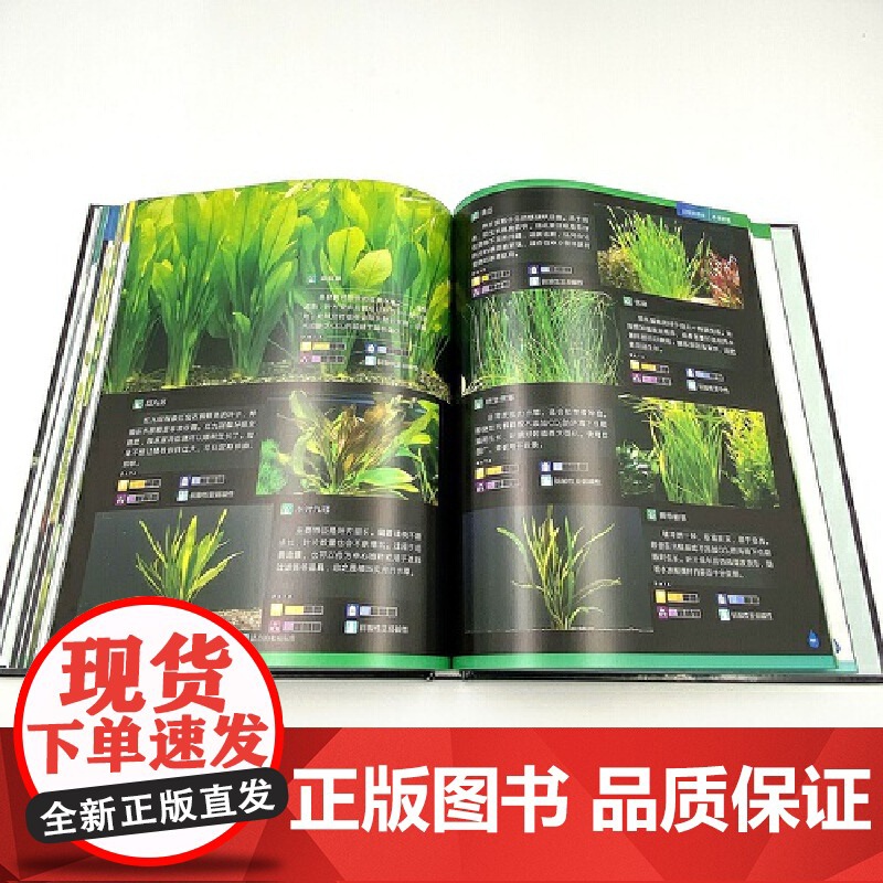 给热带鱼打造一个海底世界 水族箱造景从入门到精通水族箱鱼缸造景入门教程书时尚生活水草造景艺术栽培造景水草造景书水景制作高清大图