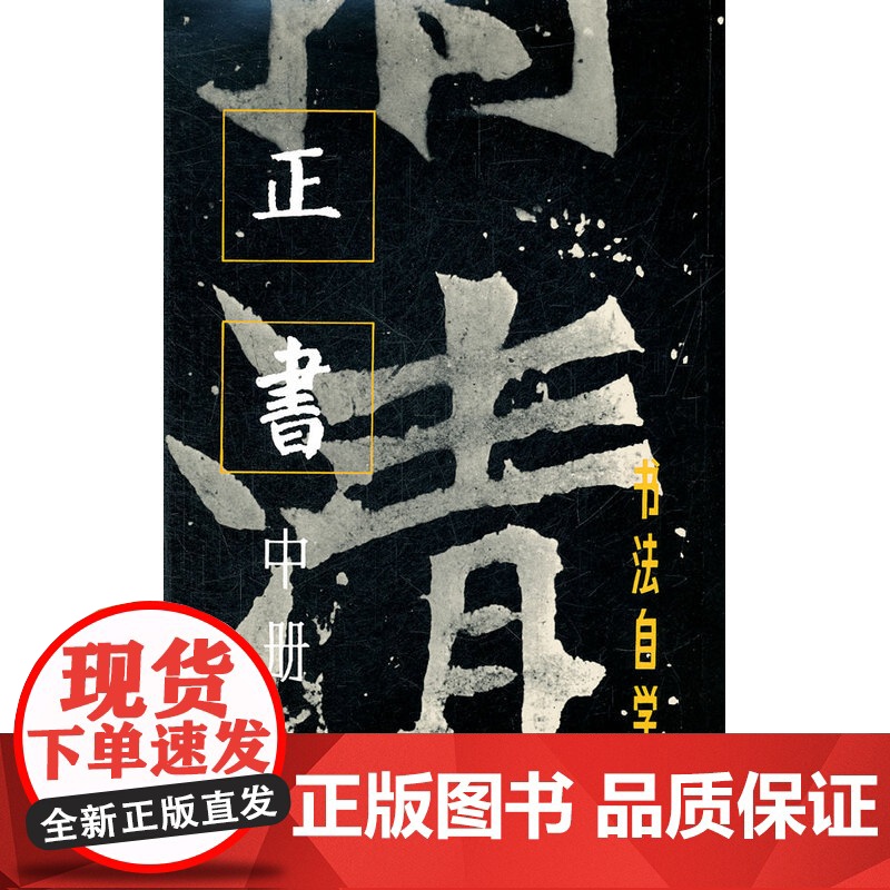 书法自学丛帖 正书(中册) 上海书画出版社 正版书籍高清大图