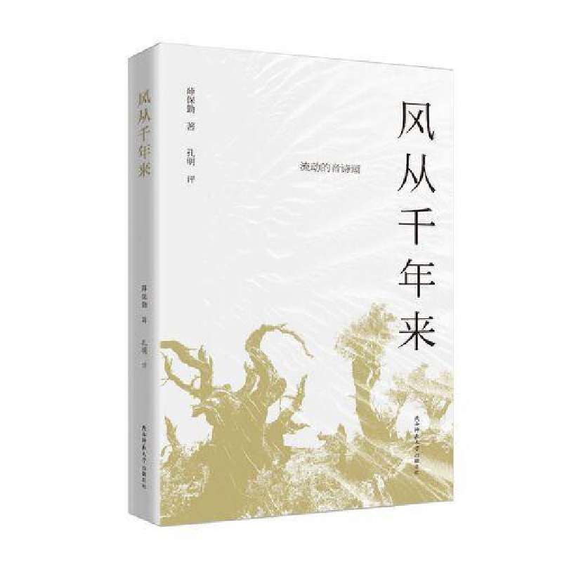 正版新书]风从千年来:流动的音诗画薛保勤 著 孔明 评978756951