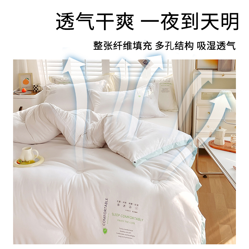 洁丽雅菲比抗菌冬被