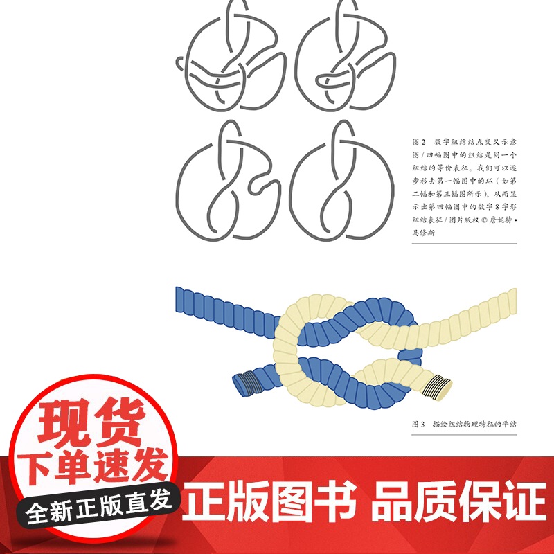 设计问题:本质与逻辑 布鲁斯·布朗著 小16开 设计理论 聚焦新问题,突出新观念、新思想和新方法高清大图