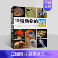 神奇动物的秘密生活 [正版]神奇动物的秘密生活(法)玛丽.特莱伯特著中文全译本青少年动物科普知识百科读物全球外国 中译出
