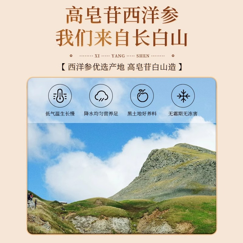 北京同仁堂内廷上用西洋参100g长白山人参粉花旗参泡水官方正品