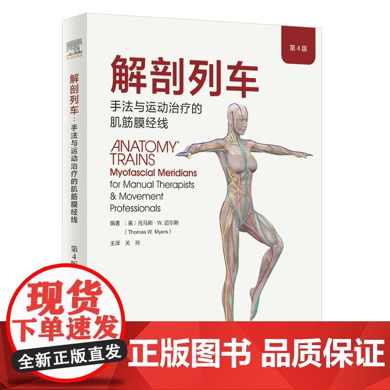解剖列车 简体中文第四版第4版 解剖学图鉴 徒手手法与动作的肌筋膜经线 医学人体解剖学彩色图谱北京科学技术出版高清大图