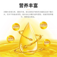 五丰喜稻稻米油500ML