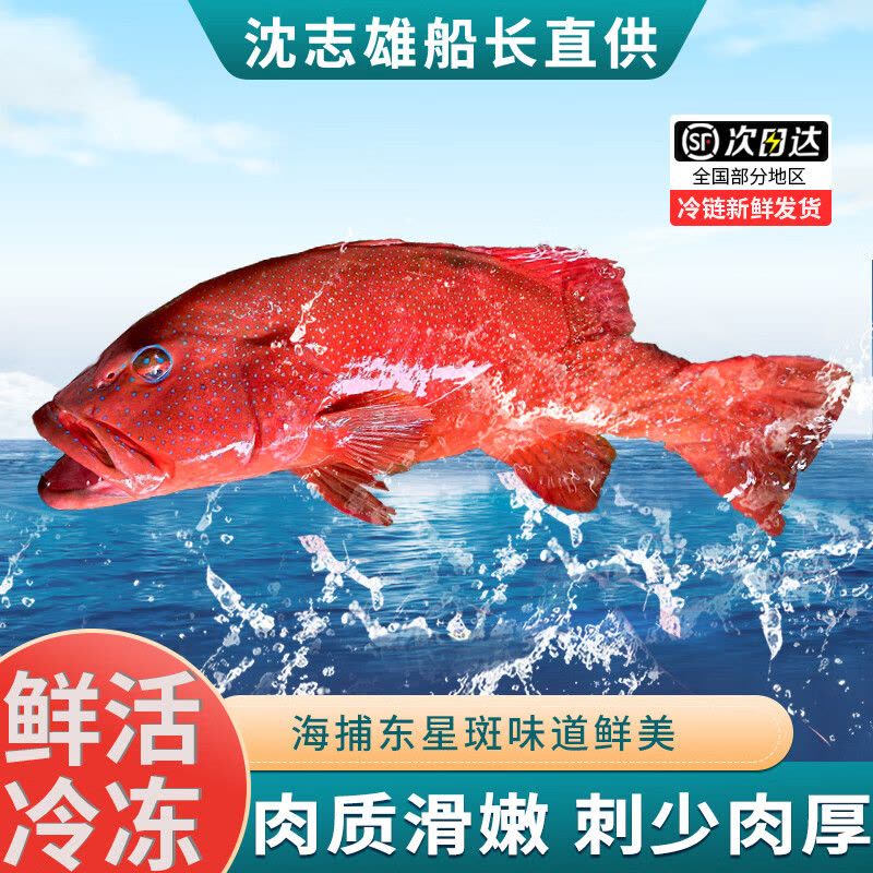沈志雄 船长 福建东山岛澳角村海鲜海捕东星斑年货礼包年货年夜饭送礼图片