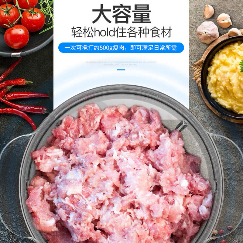 东菱(Donlim)绞肉机DL-JR373高清大图
