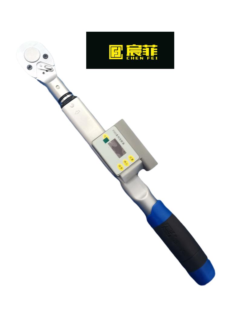 宸菲 扭矩扳手定值蓝牙DZLY5-550 把(货期请咨询客服)(DZLY25)高清大图