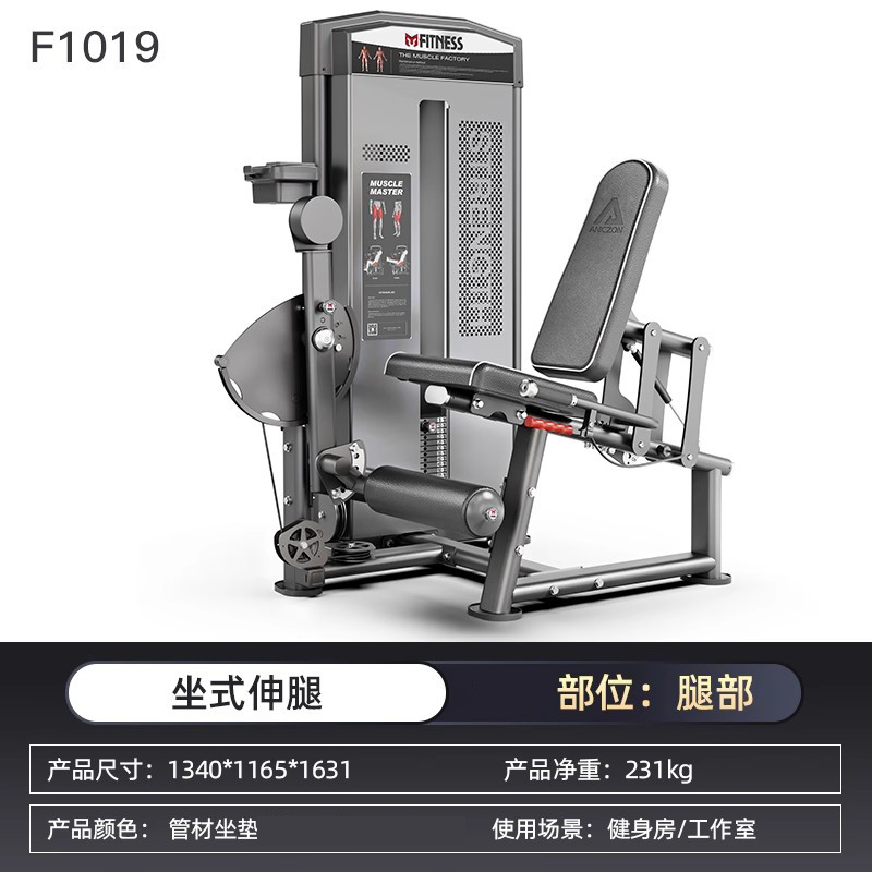 亿迈商用必确力量器械坐式推胸器仰卧举肩高低拉背健身房器材-F1019坐式伸腿