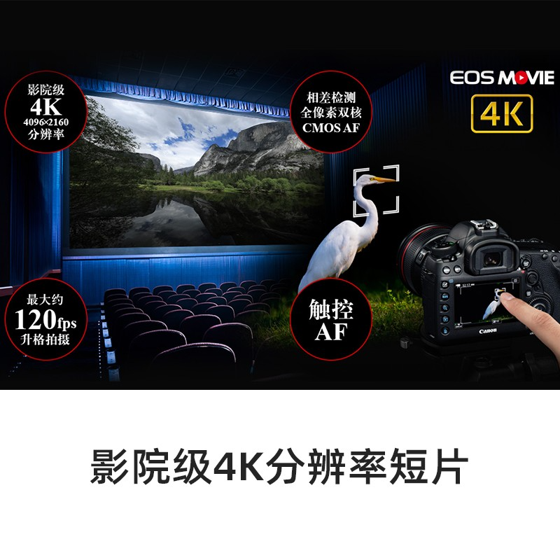 佳能(Canon)EOS 5D Mark IV 专业全画幅单反相机套机 佳能5D4+EF24-105 f/4L 2代套机高清大图