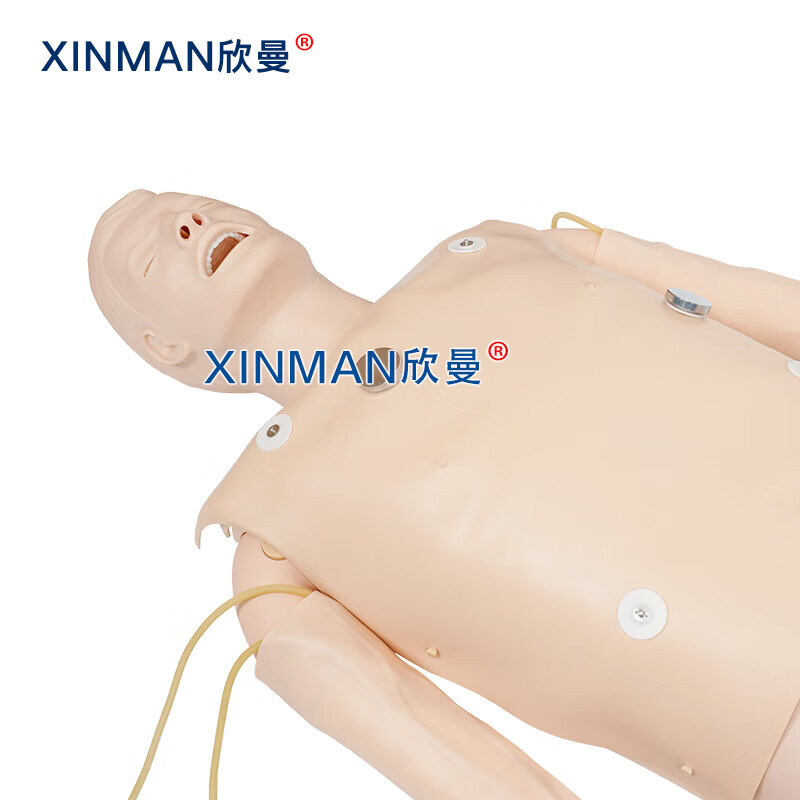欣曼科教 心肺复苏及除颤模拟人 CPR心肺复苏 鼻口咽通气 除颤起搏 有线版XM-ALS700A高清大图