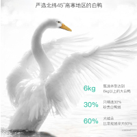 迪欧达轻薄羽绒服女纯色糖果色秋冬季外套短款时尚立领修身显瘦