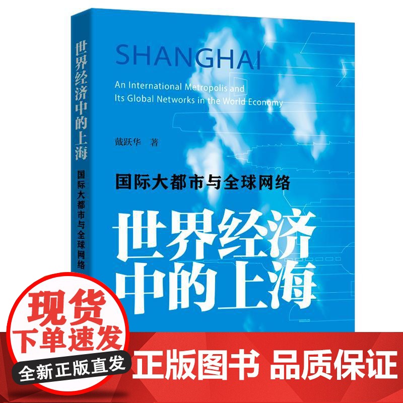 世界经济中的上海国际大都市与全球网络 戴跃华著上海远东出版社中国经济区域经济高清大图