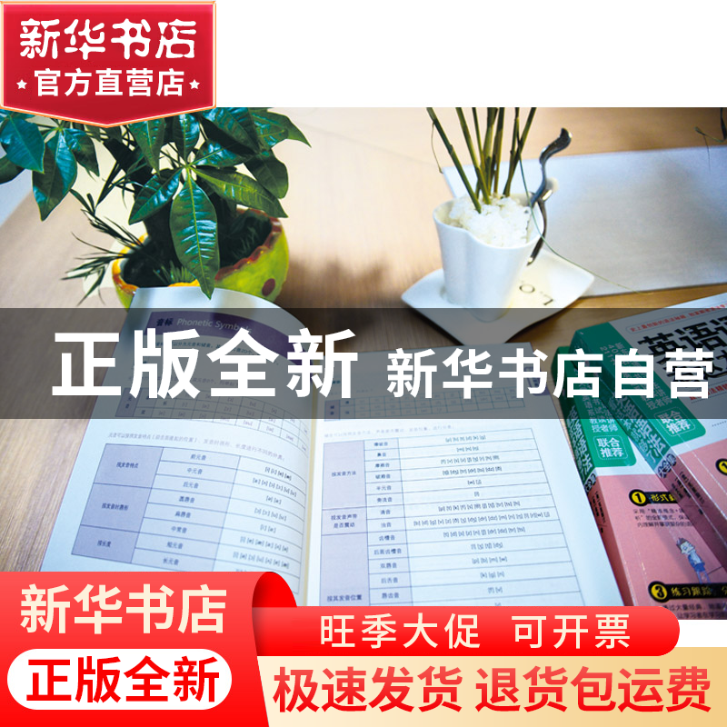 正版 英语语法看这本就够了大全集 (美)克里斯汀//金姆//李文昊高清大图