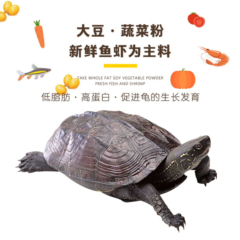 中华龟专用龟粮乌龟饲料食物半水龟墨龟通用粮小乌龟上浮型颗粒高清大图