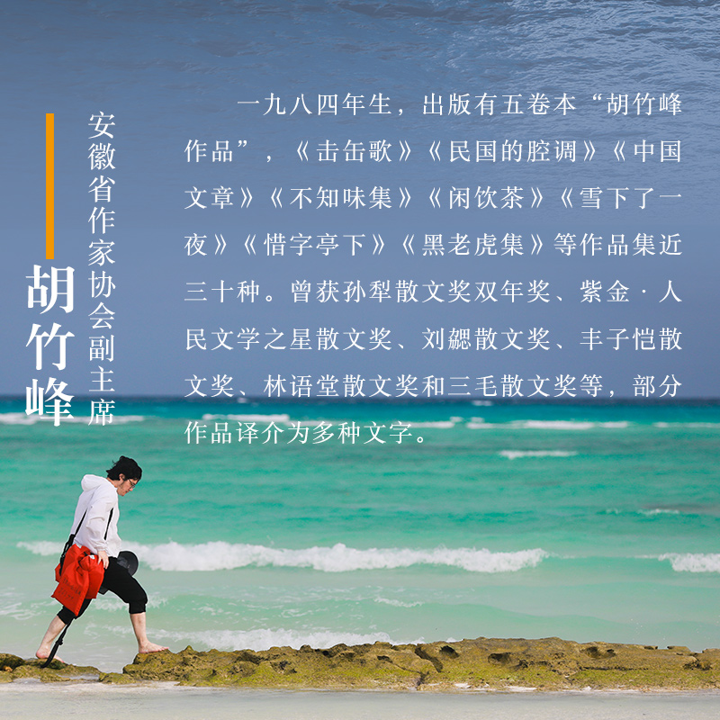 [正版]南游记(胡竹峰全新散文力作)高清大图
