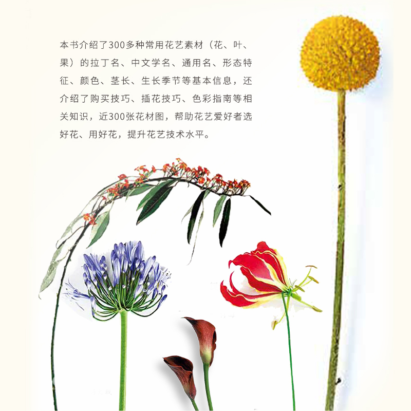 [醉染正版][QG]生活-花艺素材速查手册 朱迪丝·布莱克洛克著 张璇王苹译 宠物园艺花艺花艺素材插花花艺色彩搭配 购买高清大图