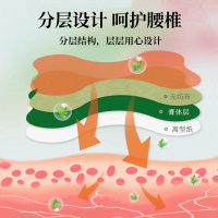 百消丹艾草腰椎贴12贴/盒 12片