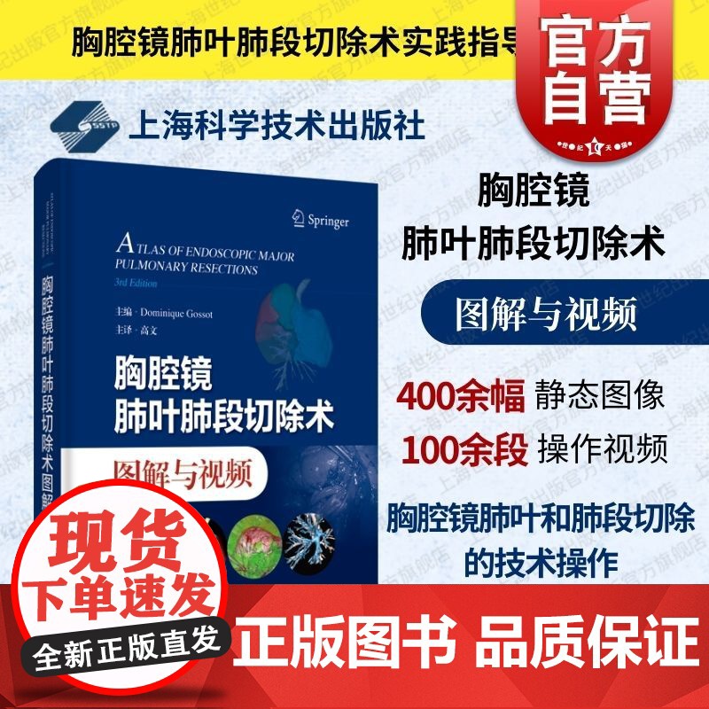 胸腔镜肺叶肺段切除术图解与视频 上海科学技术出版社CT三维重建影像展示解剖学结构胸腔镜图谱肺叶肺段切除技术操作提高专业技高清大图