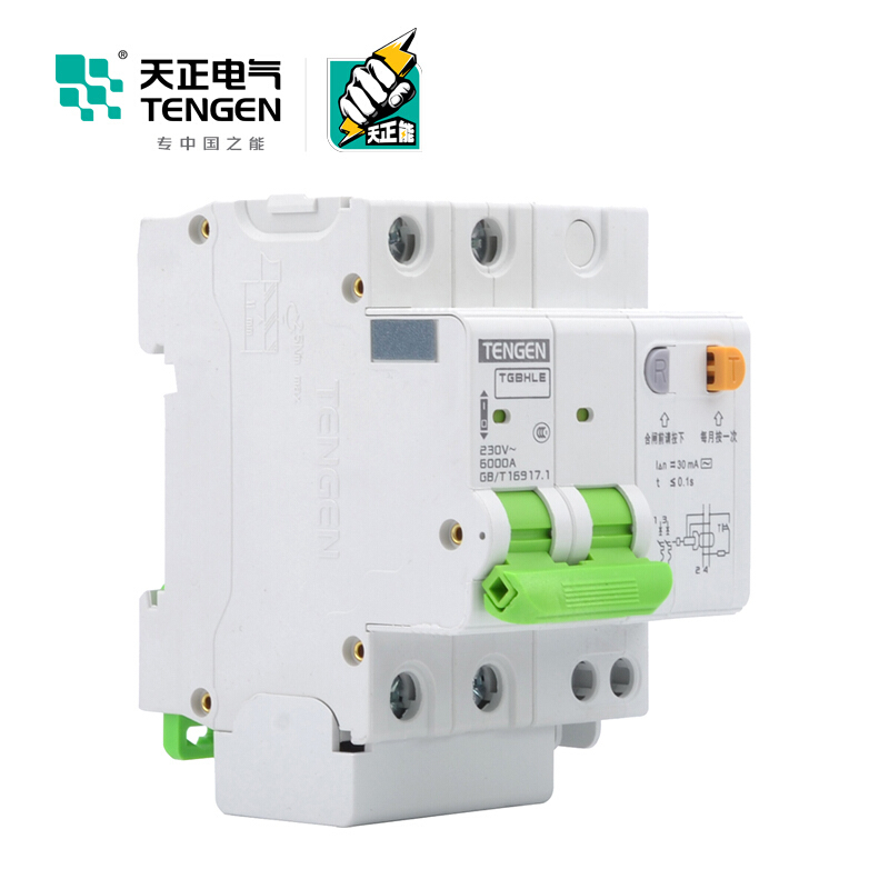 天正电气瑞彩系列TGBHLE-125 空气开关 2P C100A 30mA 335022300007 微型漏电保护断路器