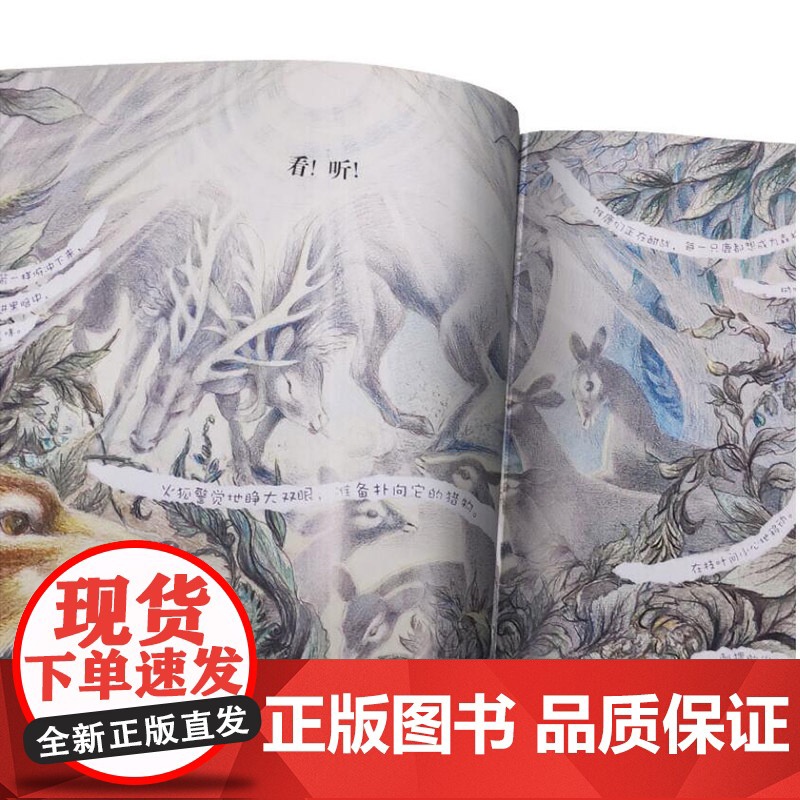 月光森林海豚绘本花园硬壳精装图画书适合3岁以上亲子共读正版童书高清大图