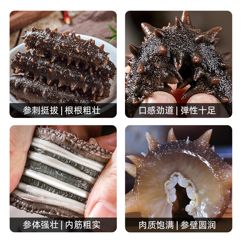 星龙港无冰即食海参——每日一参（特价）高清大图