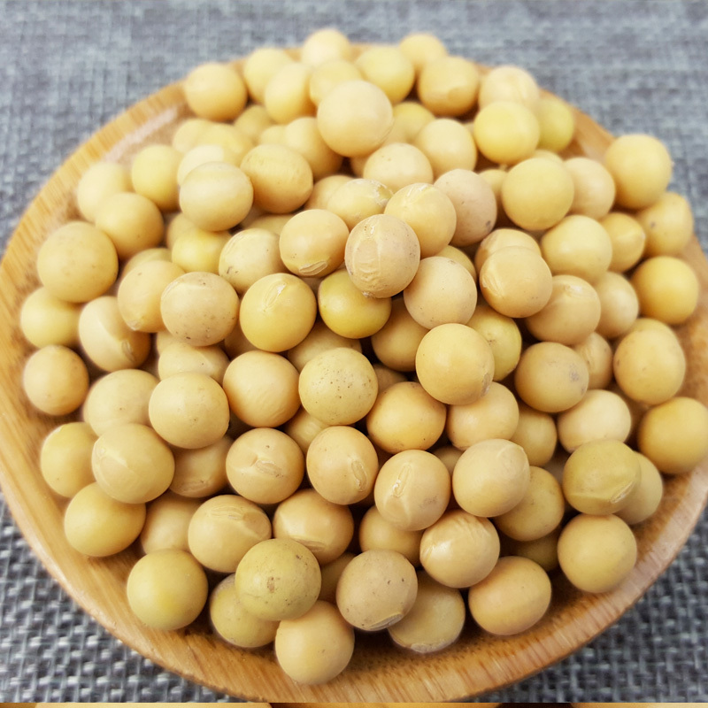 溢田东北杂粮有机黄豆800g 当季新粮 产地直发高清大图