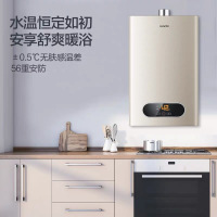 【网红小家电】燃气热水器 燃气热水器家用变频恒温厨房强排式 天然气智能防冻 水气双调恒温 安全防护 六 13升恒温燃热