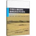 干旱区土壤盐渍化遥感监测及评价研究