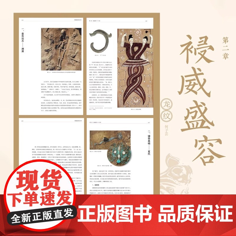 艺术与记忆考丛书 青铜器装饰纹样考 湖北美术出版社 文物收藏鉴赏书籍 湖北美术出版社高清大图