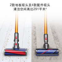 戴森（DYSON）V8 Absolute 吸尘器 40分钟续航 家用除螨 0.54升尘盒/尘桶双主吸头手持吸尘器