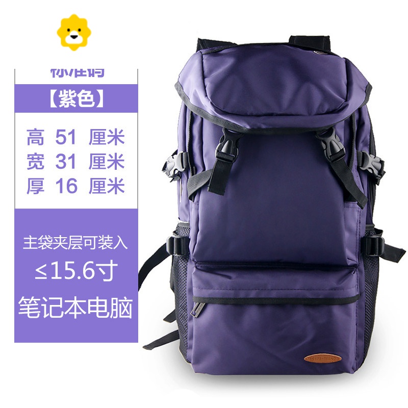 FENGHOU短途背包男士出差商务旅行包大容量男双肩包旅游户外轻便登山包黑_794 紫色（小号35L）