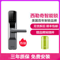 西勒奇（SCHLAGE）指纹锁SE家用入户防盗门密码锁C级智能电子锁 SE201太空银