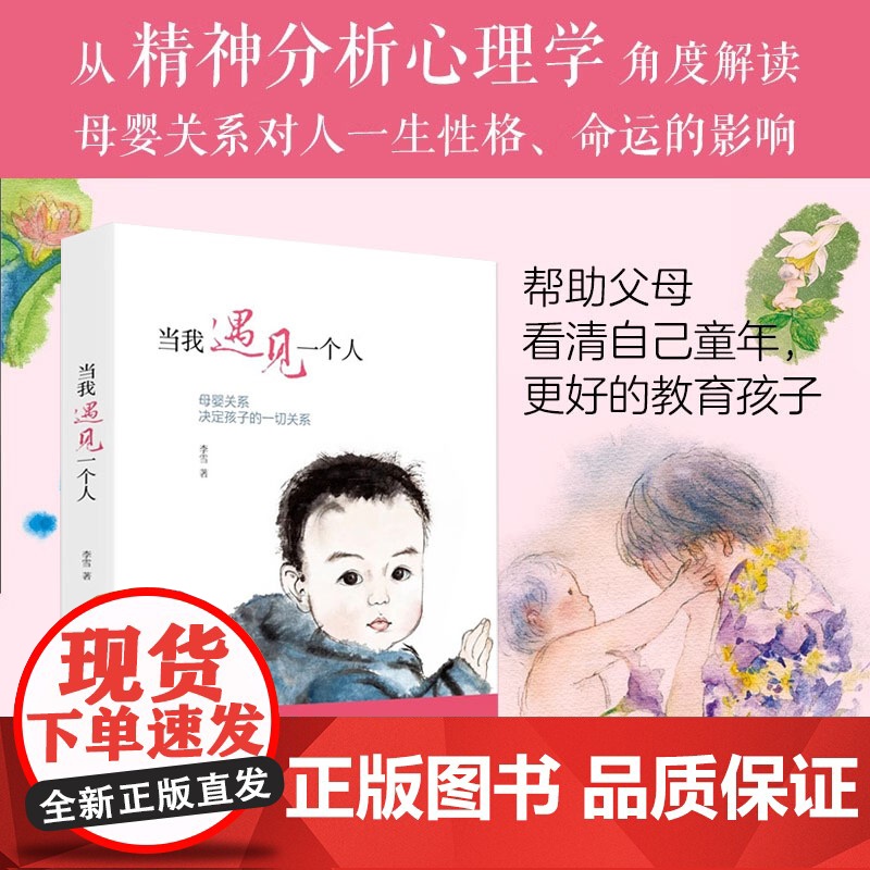当我遇见一个人 李雪著母婴关系决定孩子的一切关系家庭育儿亲子关系儿童早教有限责任家庭走出剧情书正版书籍