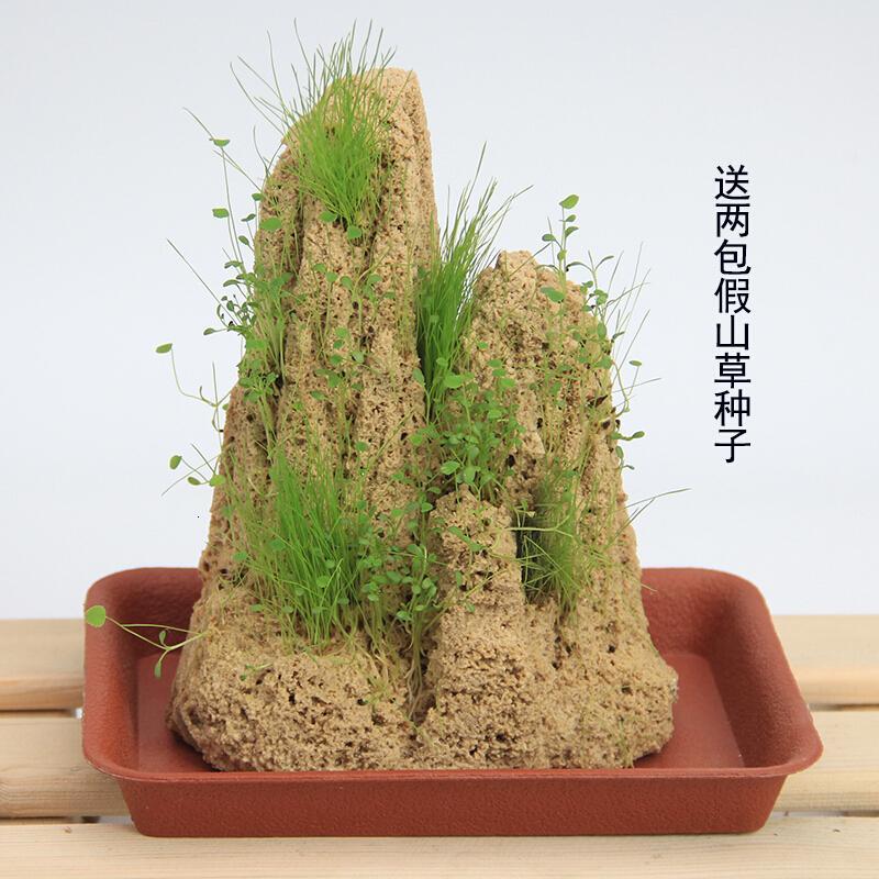 假山石头盆景吸水石盆景假山石原石上水石奇石办公桌面摆件生活日用创意家居日用家居
