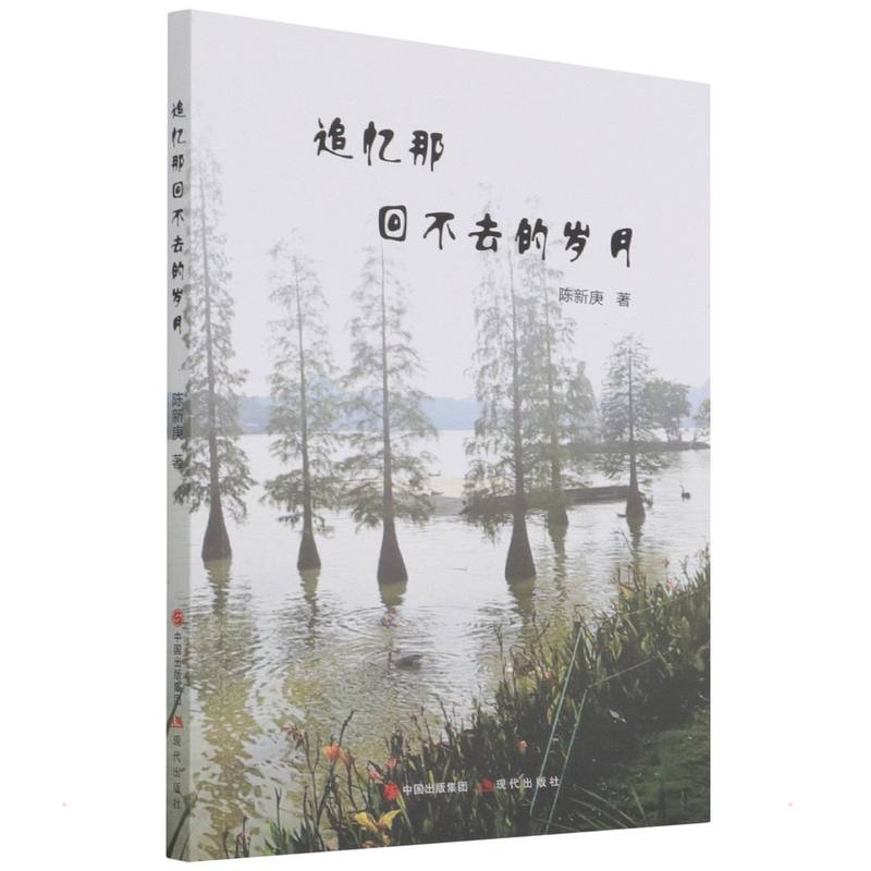 追忆那回不去的岁月 陈新庚 著 文学 文轩网