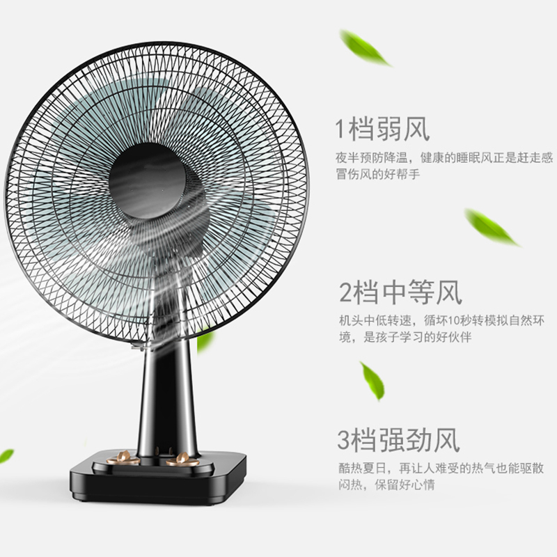 纳丽雅(Naliya)电风扇台式家用16寸大台扇学生电扇落地风扇定时转页扇定制 12寸台扇
