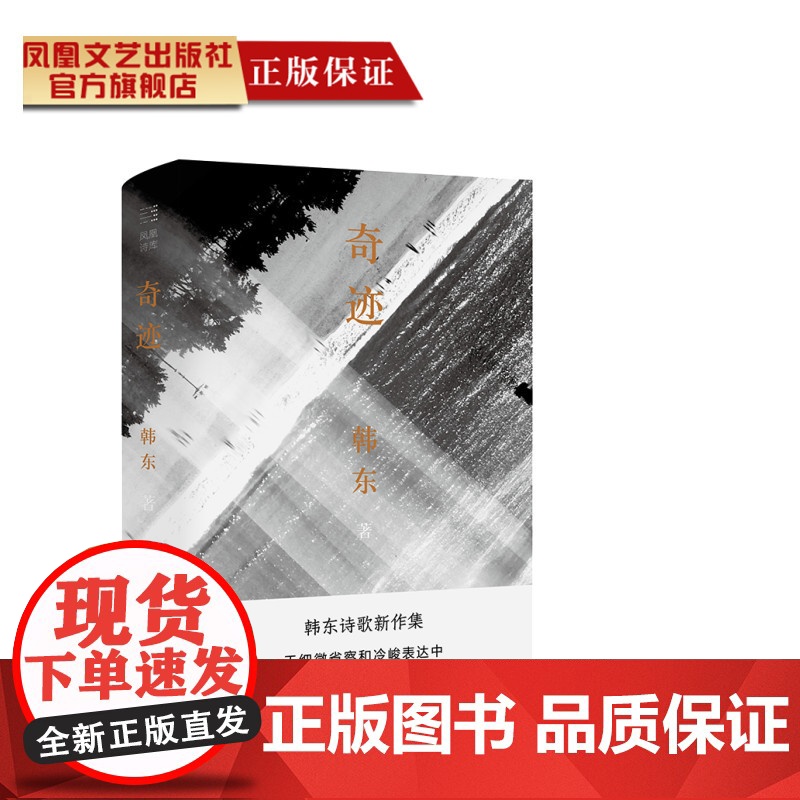 奇迹韩东诗歌新作集 韩东自己看重的诗选高清大图