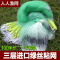 [优先发货]纯手工网制作三层渔网粘网丝网粘鱼网挂网鲫鱼网沾网水库网