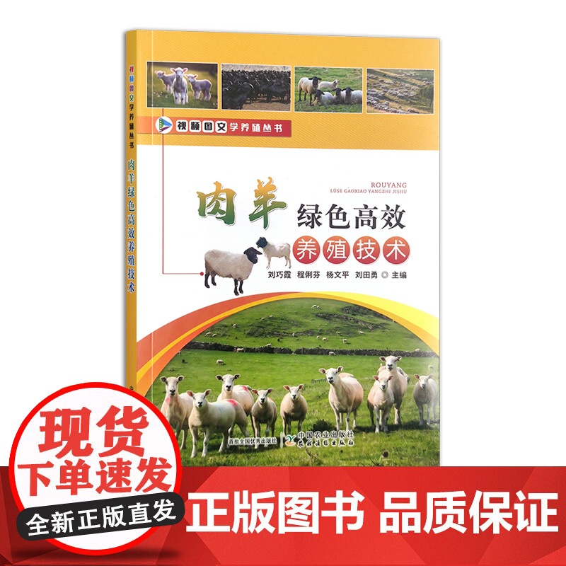 肉羊绿色高效养殖技术 30837-4 刘巧霞 程俐芬 杨文平 刘田勇高清大图