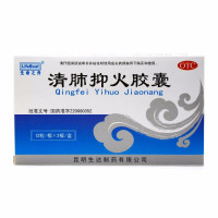 生命之舟 清肺抑火胶囊 0.5g*12粒*2板 清肺