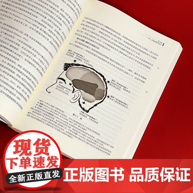 教师不可不知的脑科学知识 脑科学指导下的教学设计原则 神经科学 认知心理学 教学指导核心原则 华东师范大学出版社高清大图