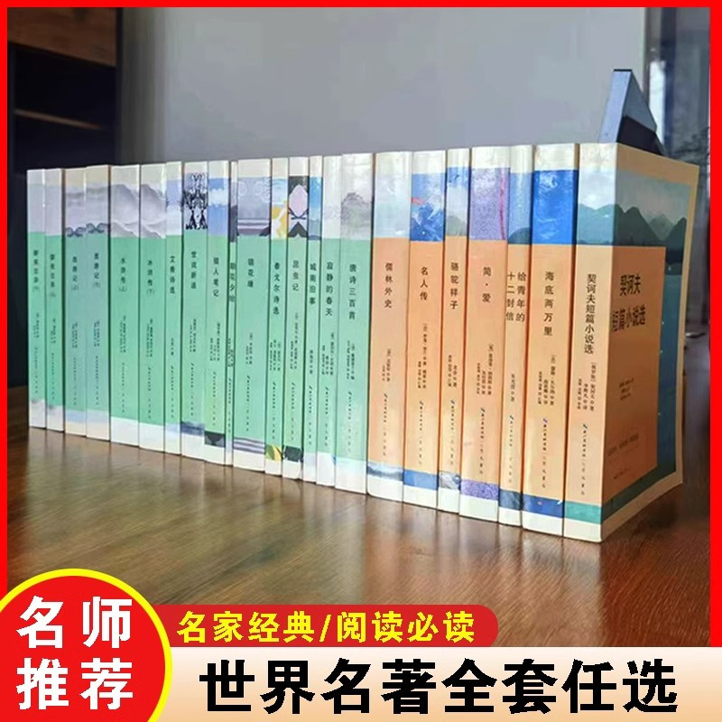 水浒传(上下) [正版]世界名著全集 简爱海底两万里名人传我是猫昆虫记艾青诗集聊斋志异西游记猎人笔记寂静的春天初中七八九