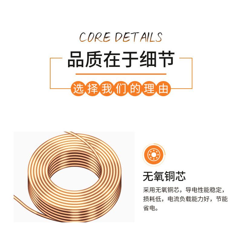 盛盛 低烟无卤阻燃电线 WDZB1-BYJ 10 100米/捆图片