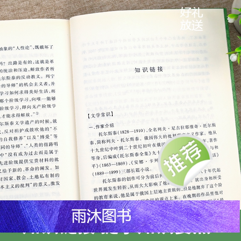 单本全册 [正版]复活 列夫托尔斯泰著汝龙译 《语文》阅读丛书 经典世界名著小说 青少年中学生语文阅读课外阅读书籍完整无高清大图