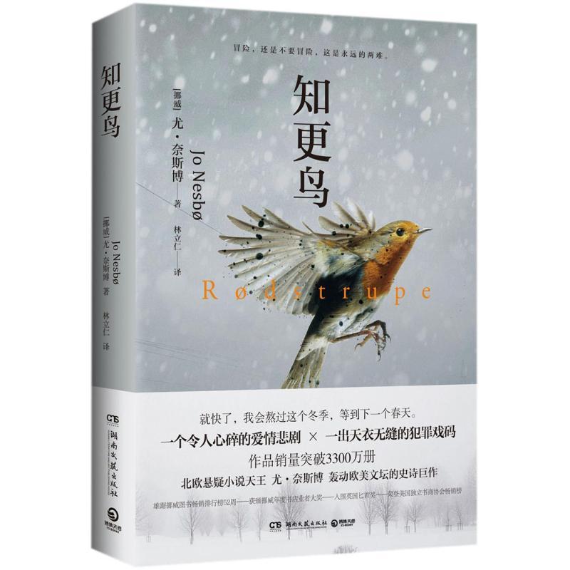 正版新书]知更鸟尤·奈斯博9787540483968高清大图