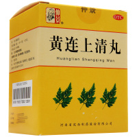 仲景 黄连上清丸 6g*10袋/盒